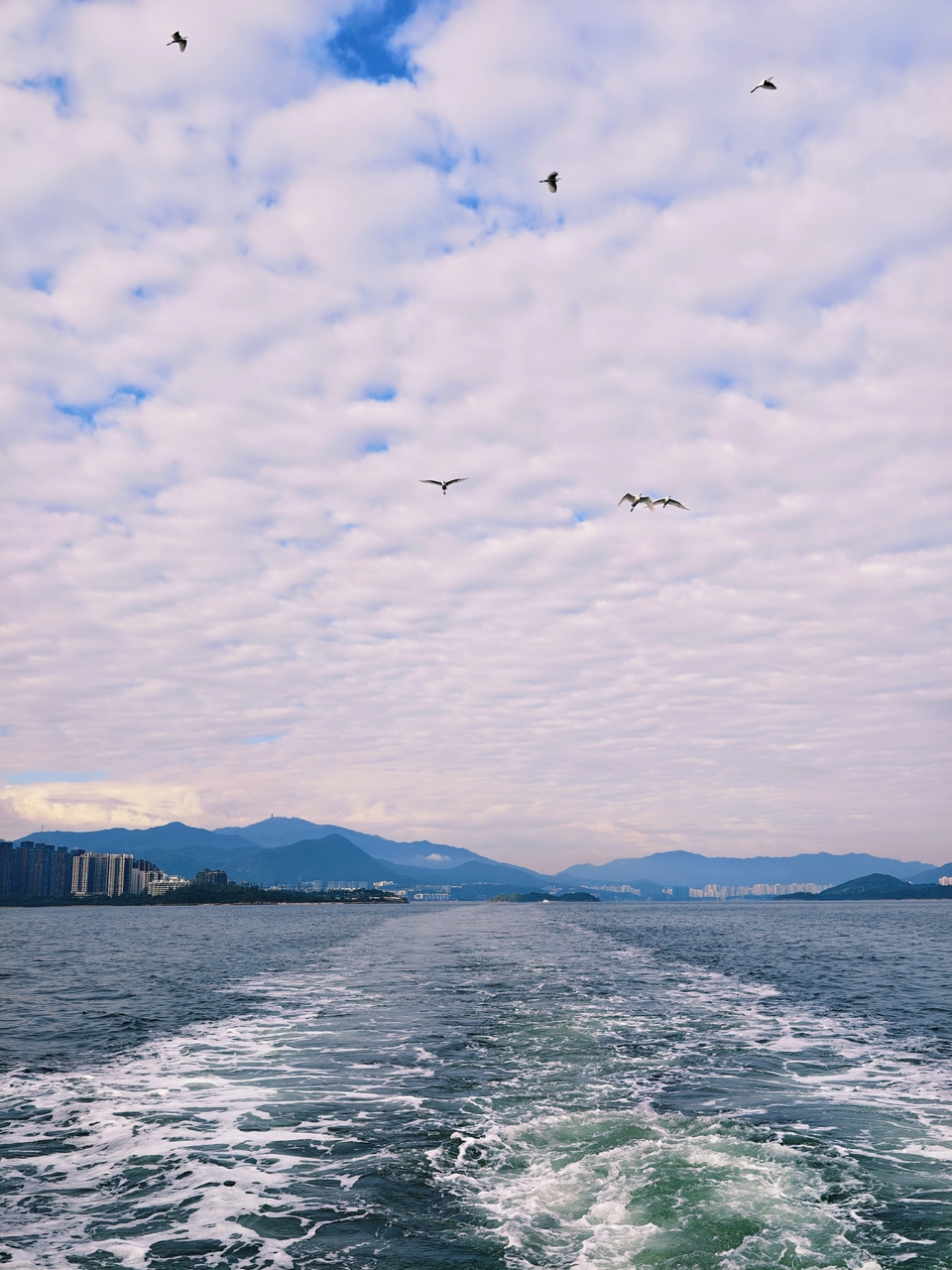 微信图片_20251114085334_1068_4525