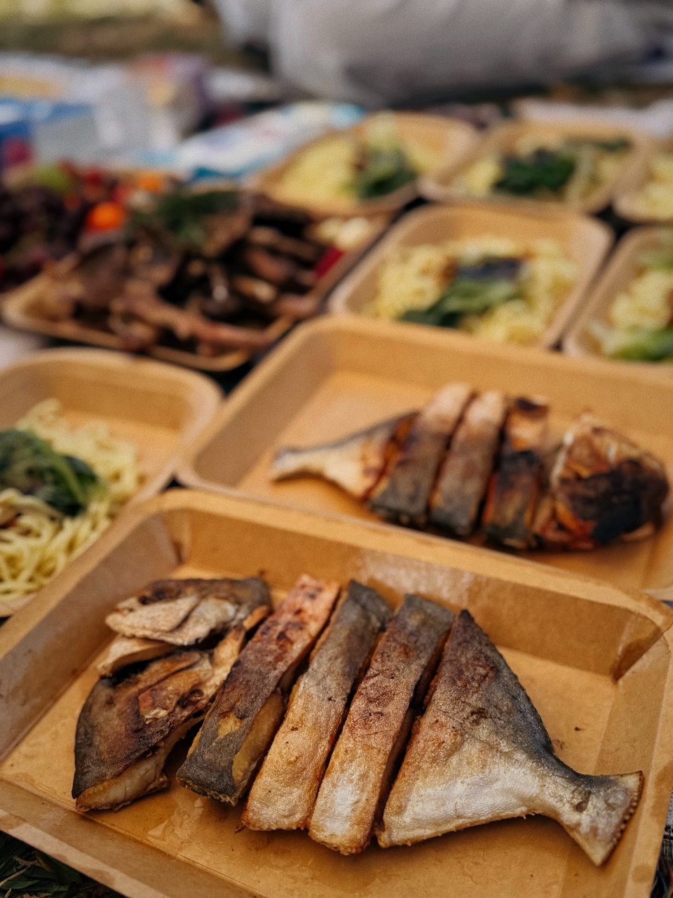 微信图片_20251114143726_1243_4525