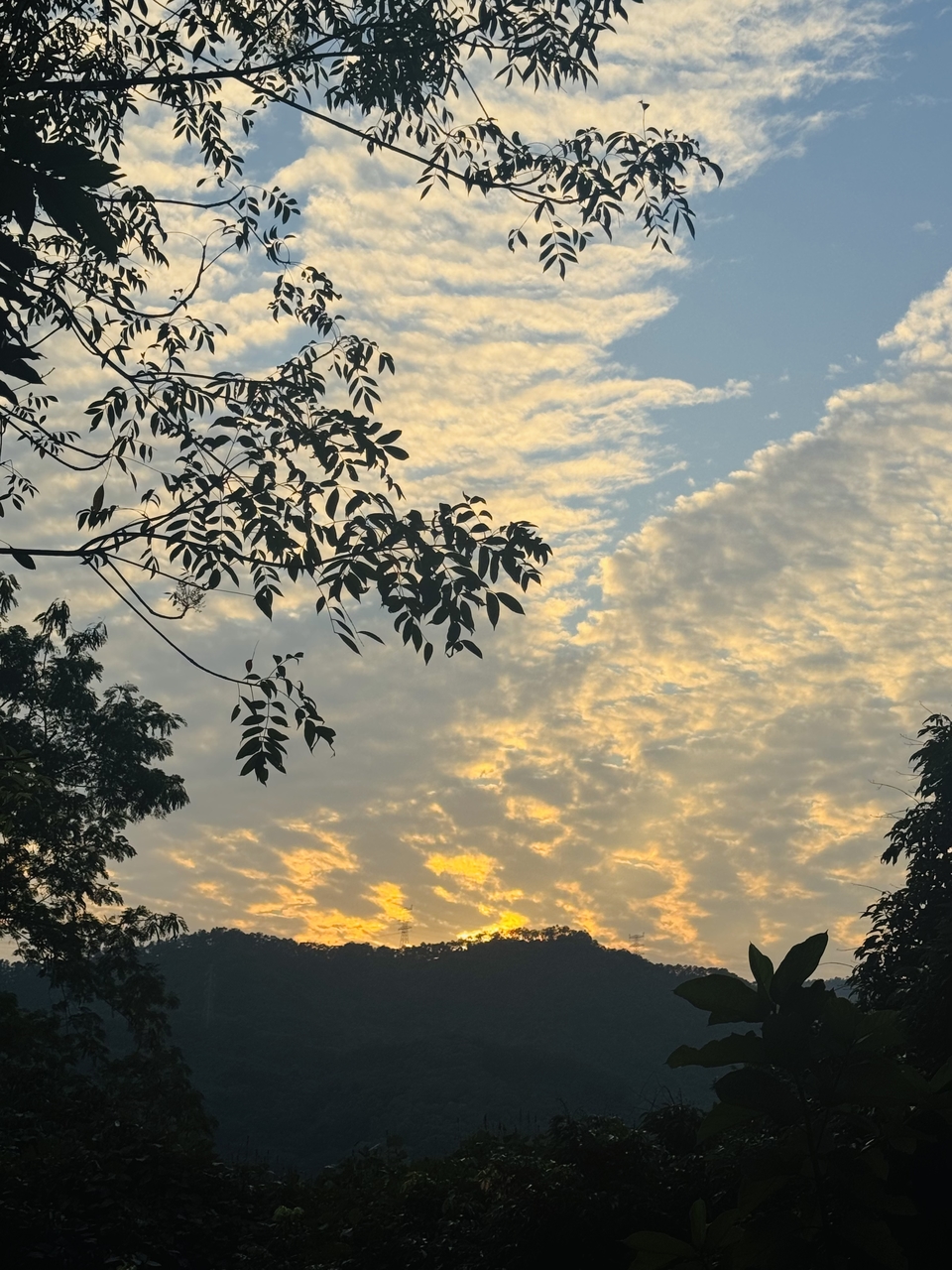 微信图片_20251115171334_365_4557