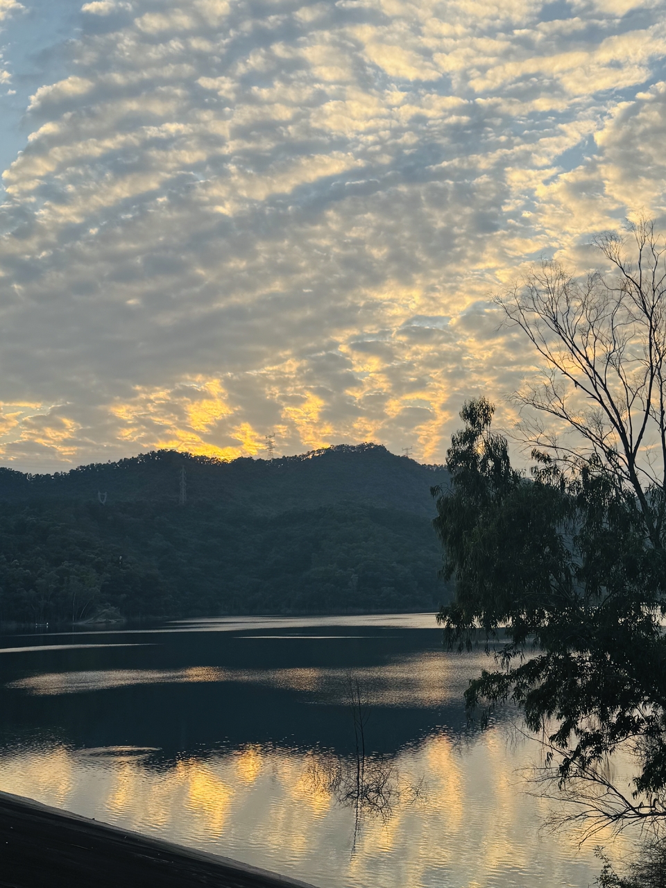 微信图片_20251115171826_366_4557