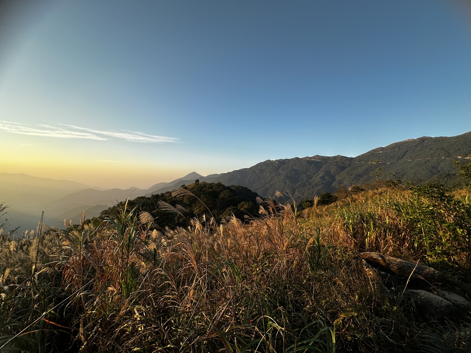 微信图片_20251116193243_2683_4493