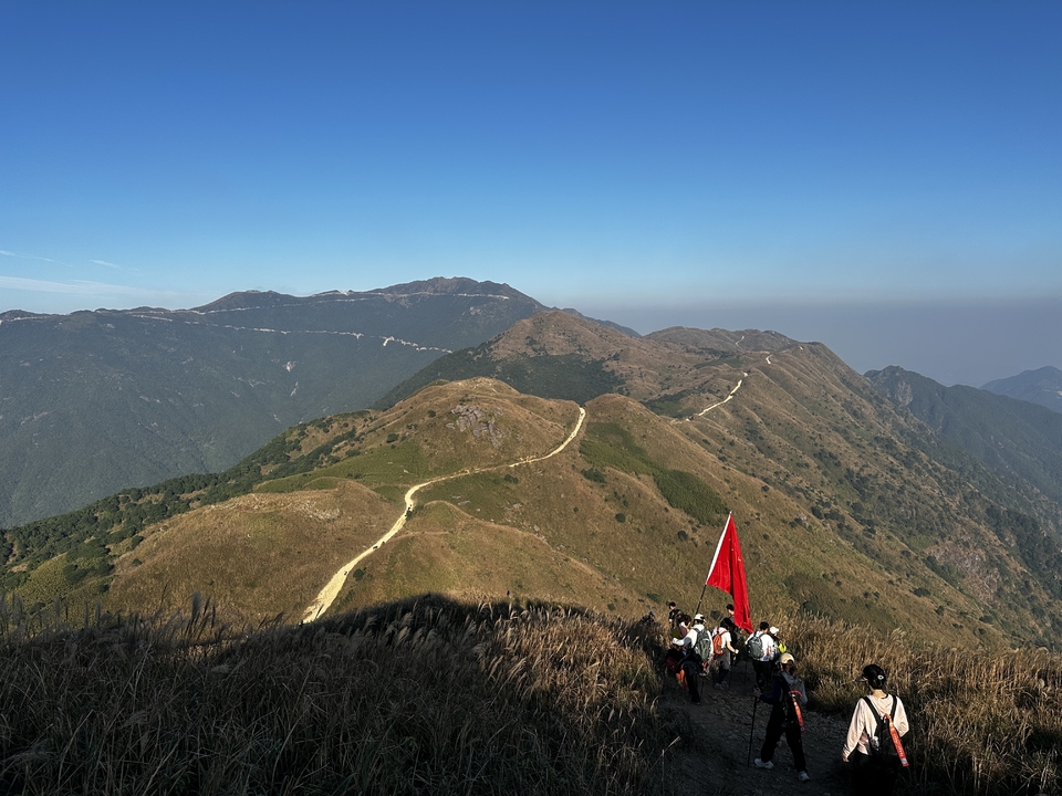 微信图片_20251116193353_2691_4493