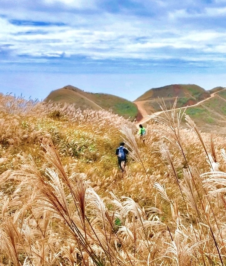 微信图片_20251116202318_2731_4493