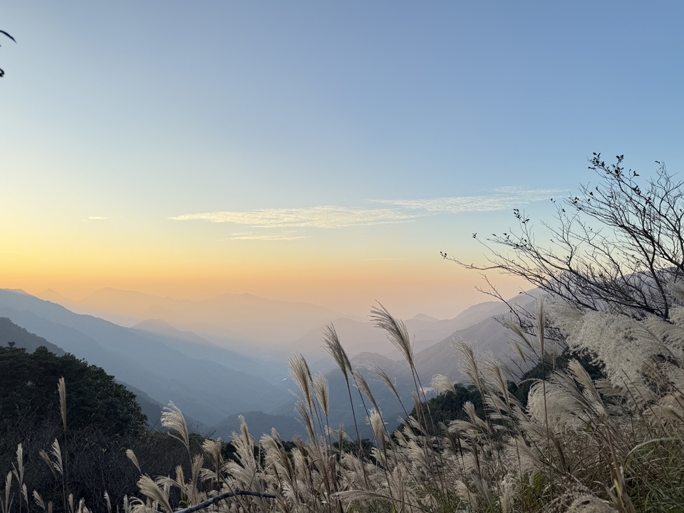 微信图片_20251116221931_3237_4493