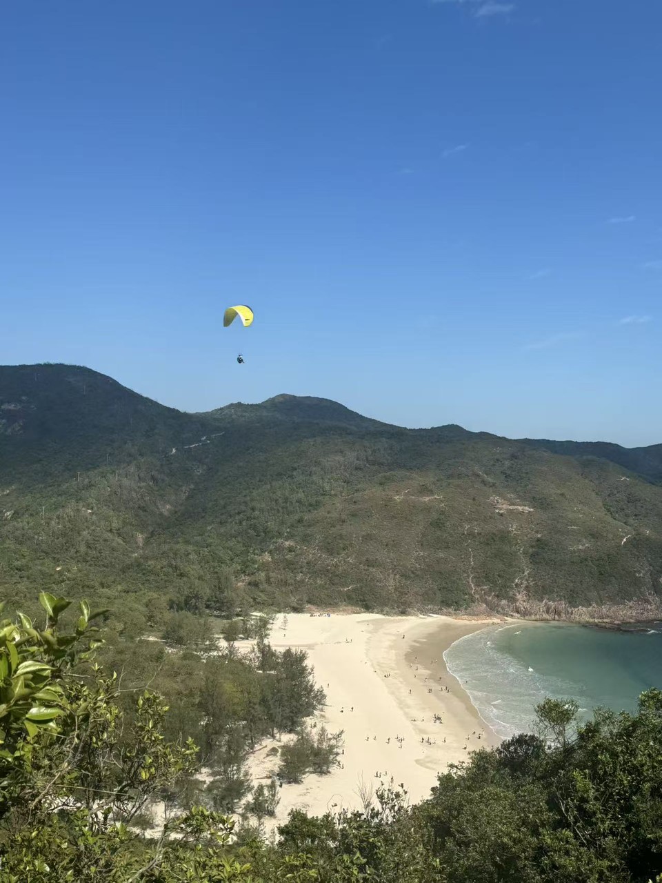 微信图片_20251122163318_486_4534