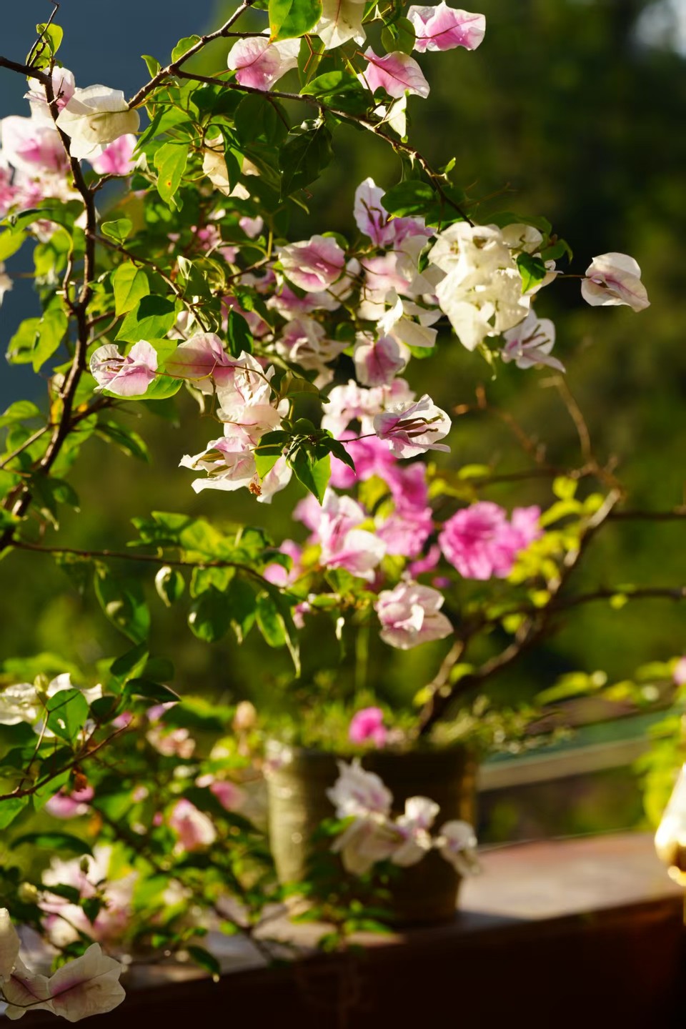 微信图片_20251122182454_121_224