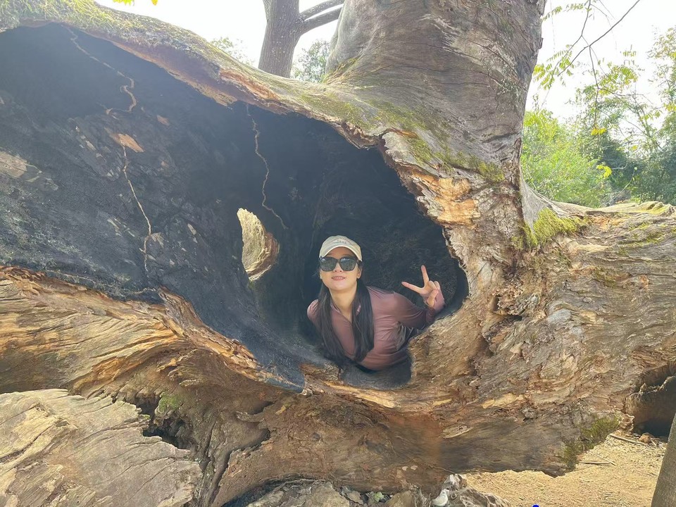 微信图片_20251130145610_648_148