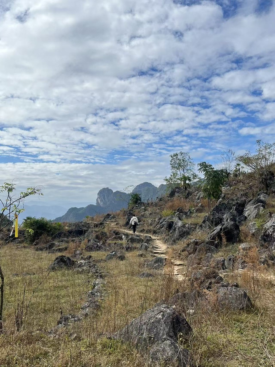 微信图片_20251130145633_670_148