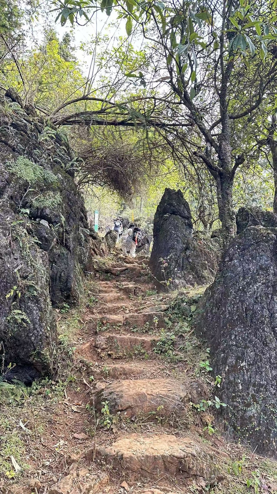 微信图片_20251130145848_697_148