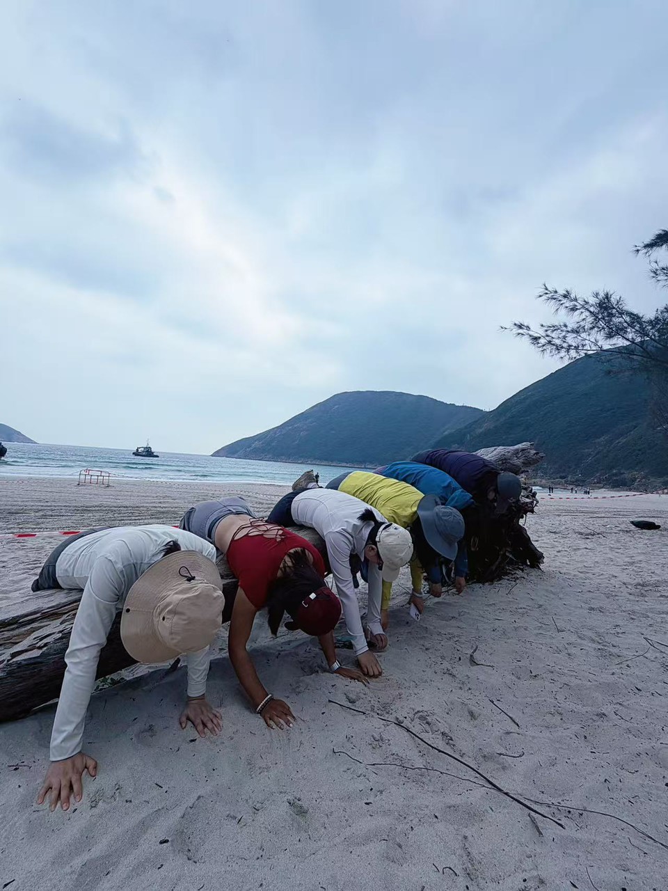 微信图片_20251204175024_1743_381