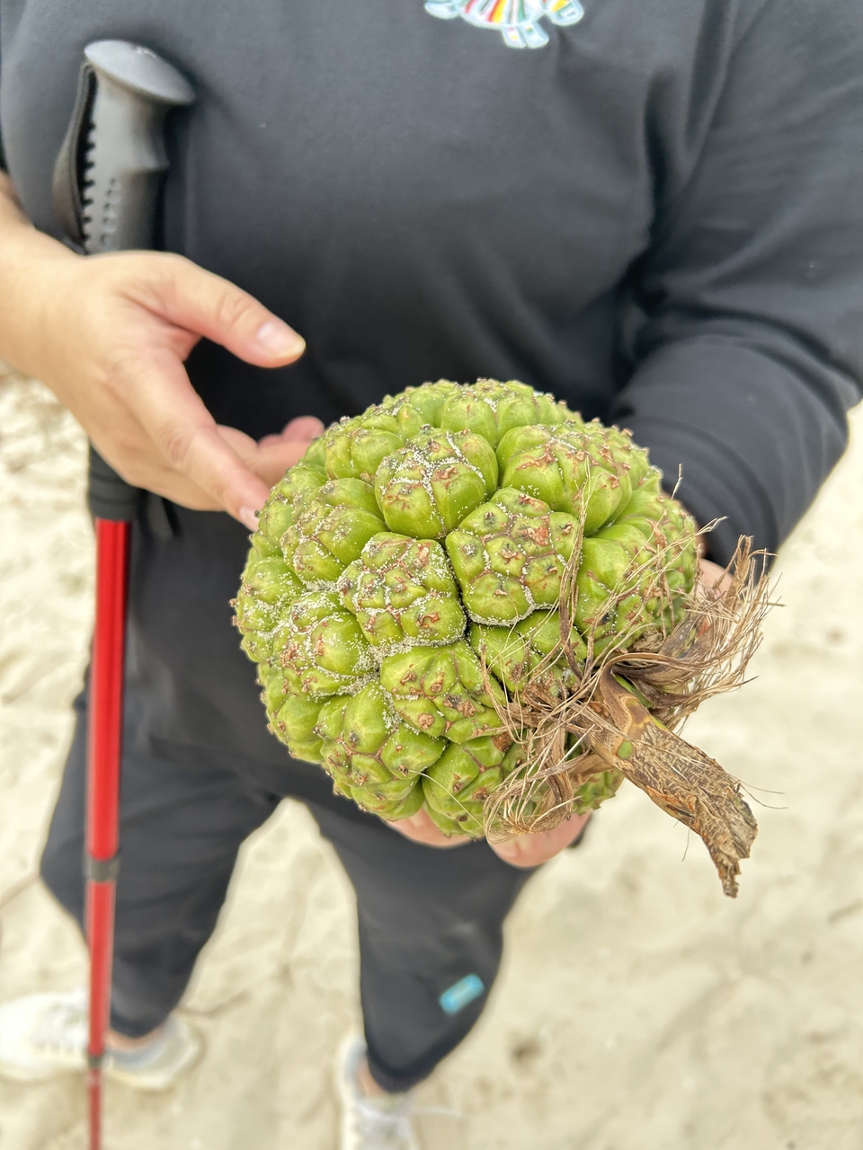 微信图片_20251204183615_2151_381