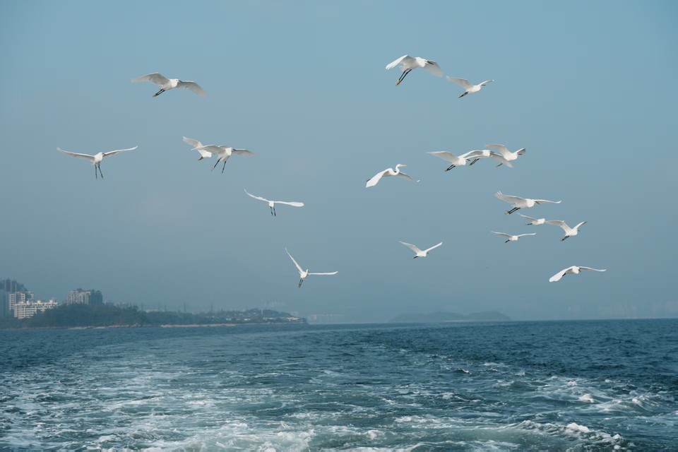 微信图片_20251206092153_440_380