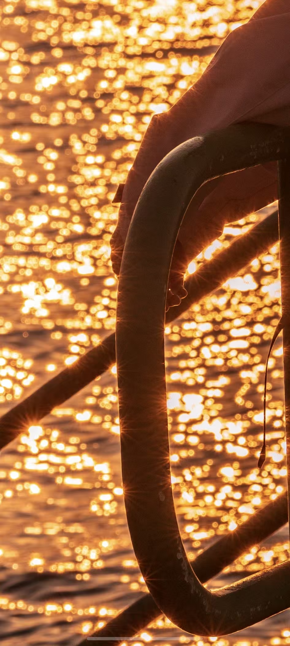 微信图片_20251206231134_1015_380