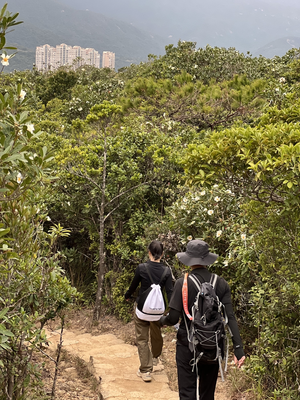 微信图片_20251213161641_45_4739