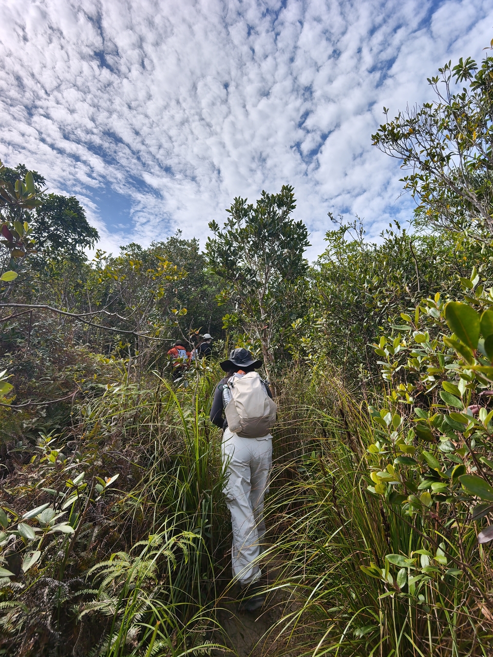 微信图片_20251214113901_620_4710