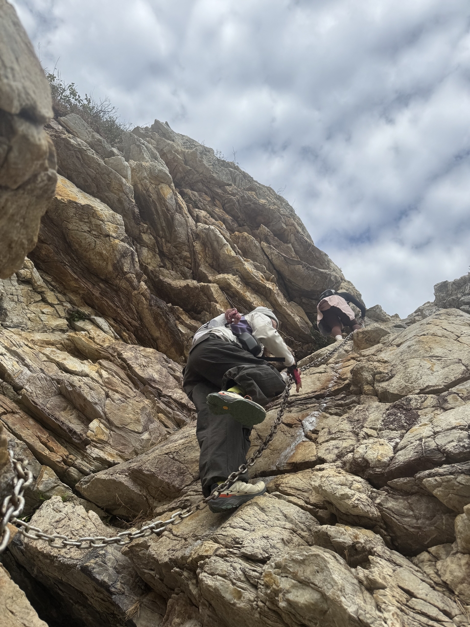 微信图片_20251214154605_695_4710