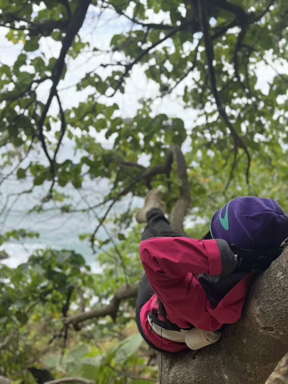 微信图片_20251214154814_713_4710