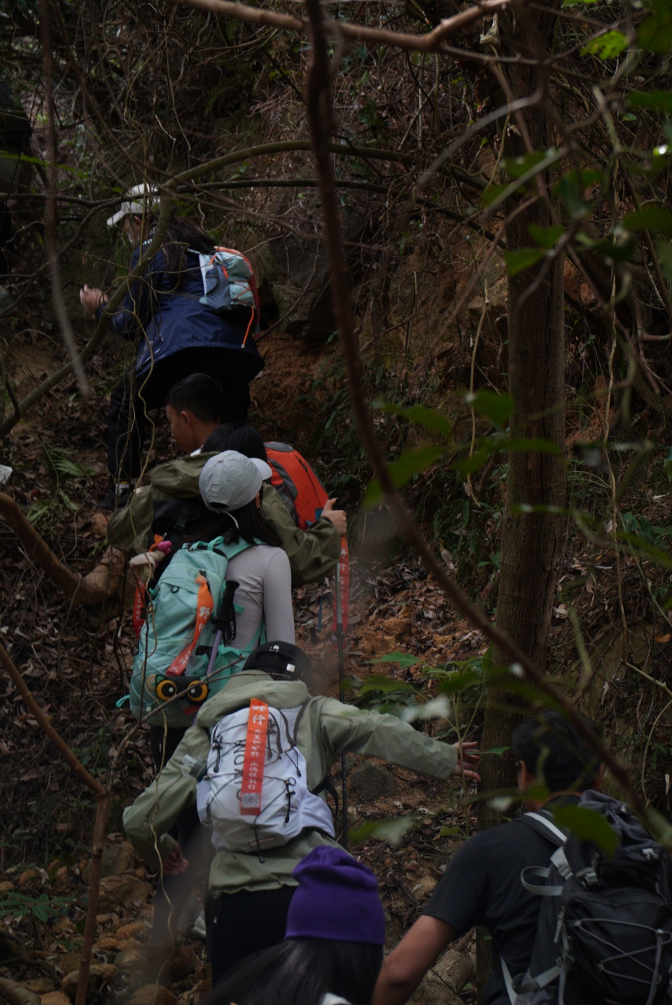 微信图片_20251214194412_1255_4710