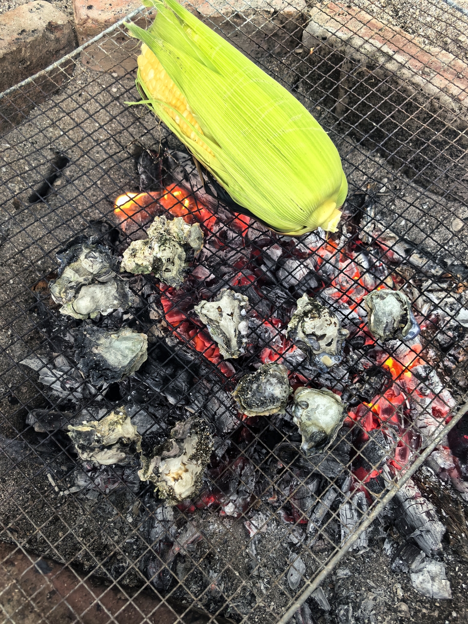 微信图片_20251213190742_1063_4683