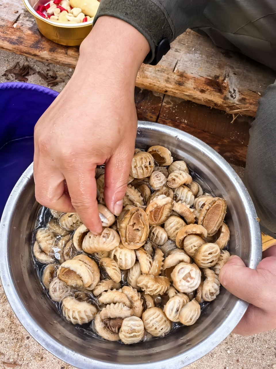 微信图片_20251213190803_1067_4683