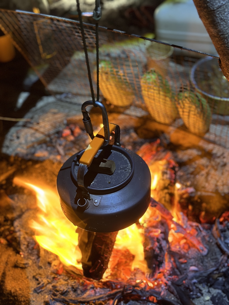 微信图片_20251213234223_1263_4683