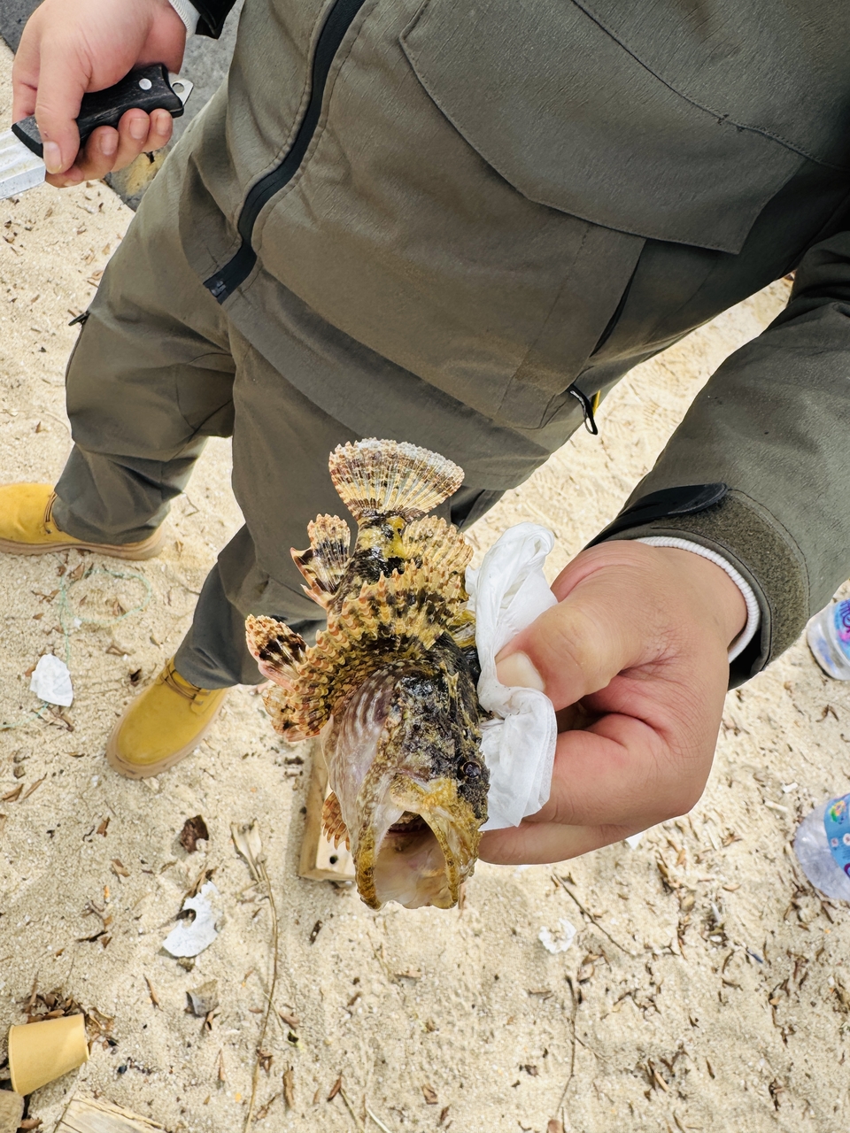 微信图片_20251214113157_1344_4683