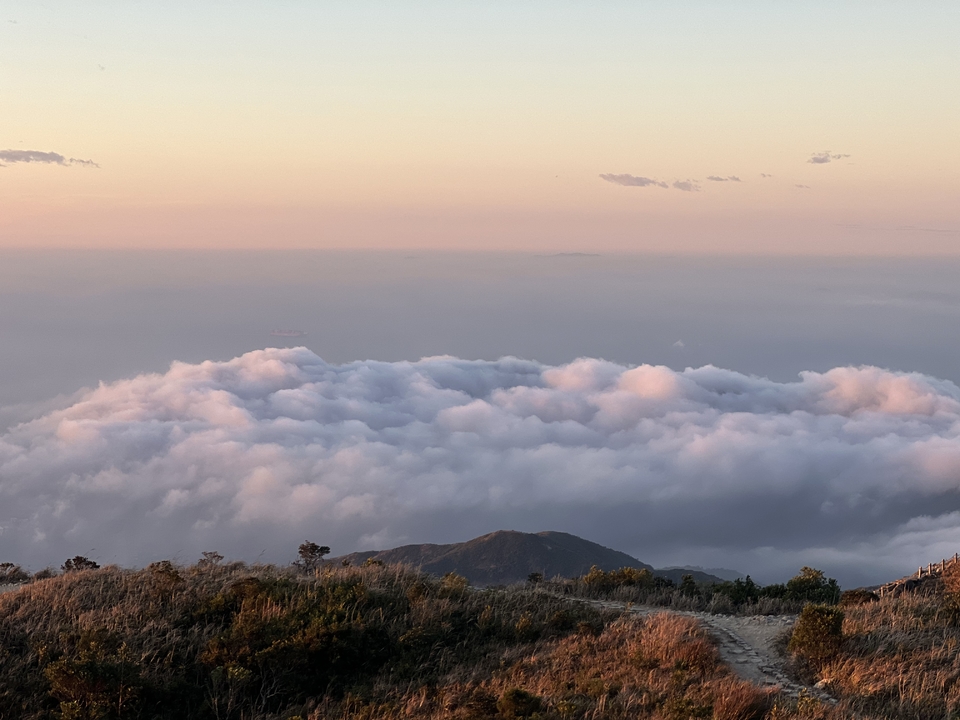 微信图片_20251221143216_19624_1631