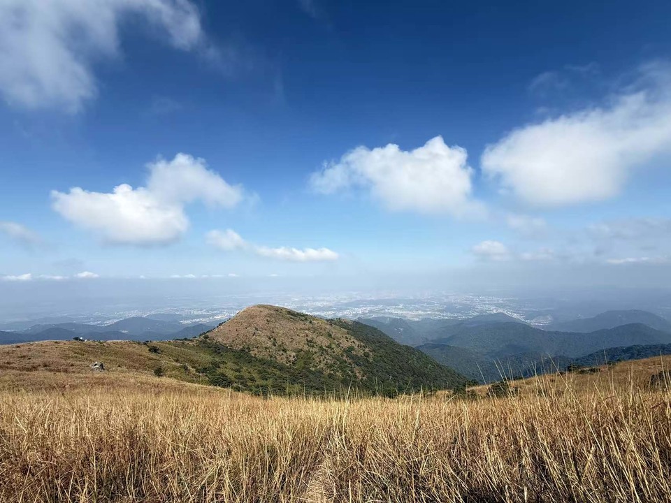 微信图片_20251221132523_289_4842