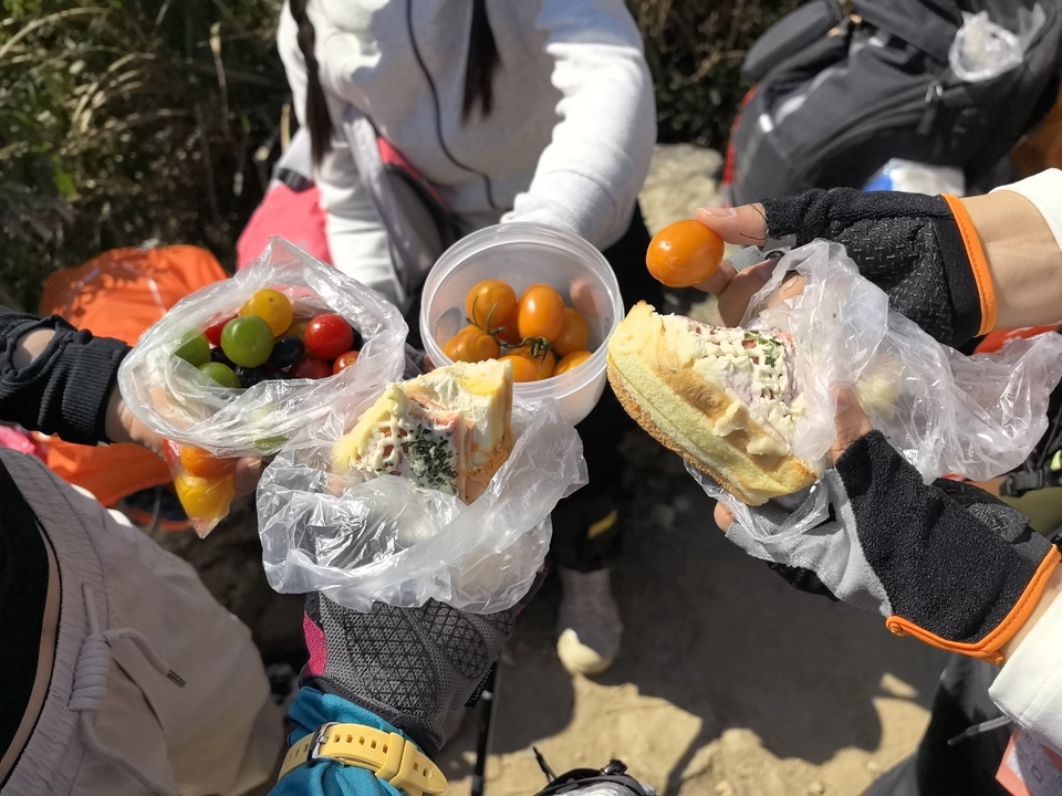 微信图片_20260111181104_1242_5022