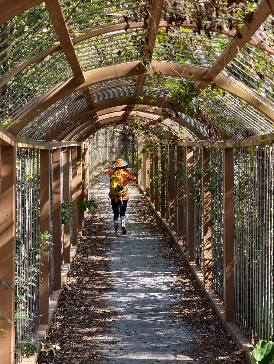 微信图片_20260115123010_354_1254