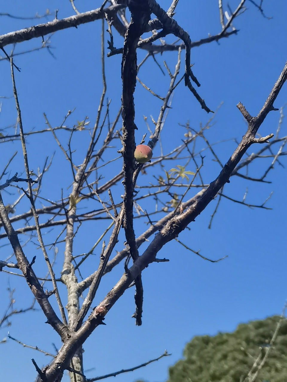 微信图片_20260115145457_398_1254