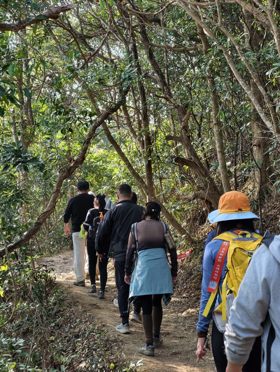 微信图片_20260115201033_565_1254