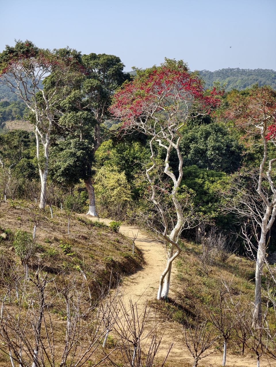 微信图片_20260115205752_725_1254