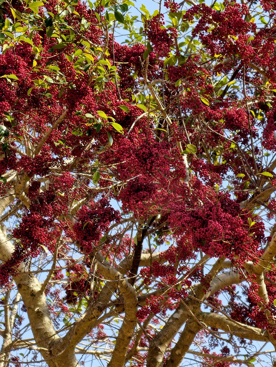 微信图片_20260115205853_729_1254