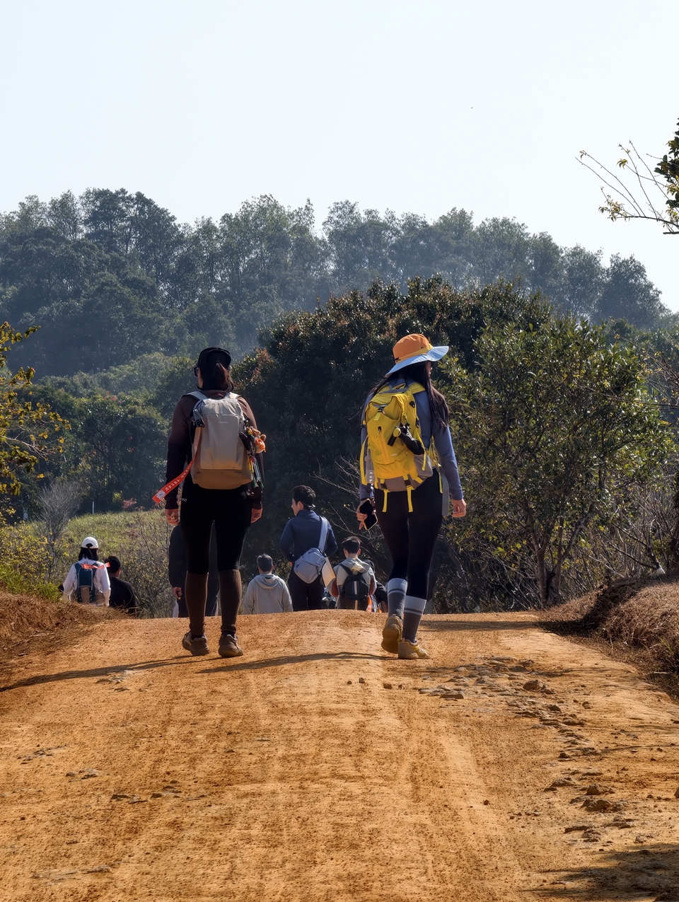 微信图片_20260115205941_734_1254