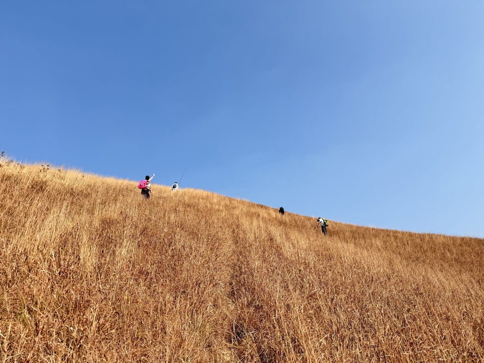 微信图片_20260124165212_451_5239