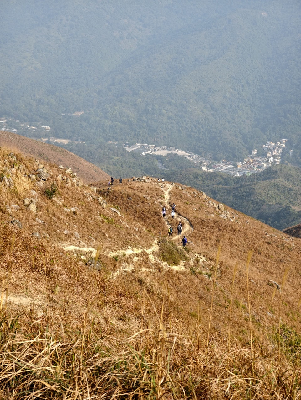 微信图片_20260124172758_487_5239