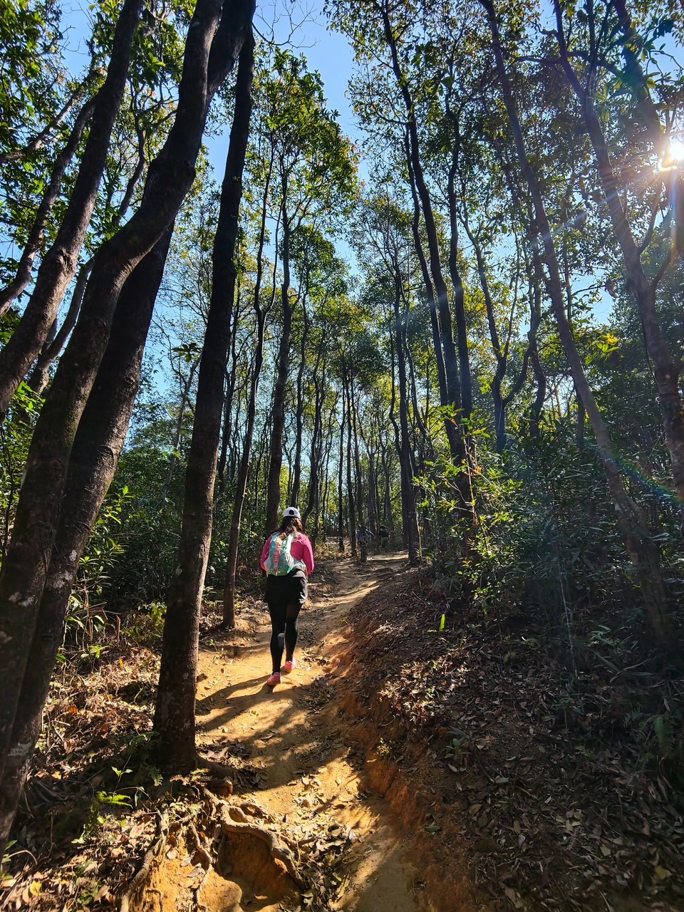 微信图片_20260125112359_601_5247