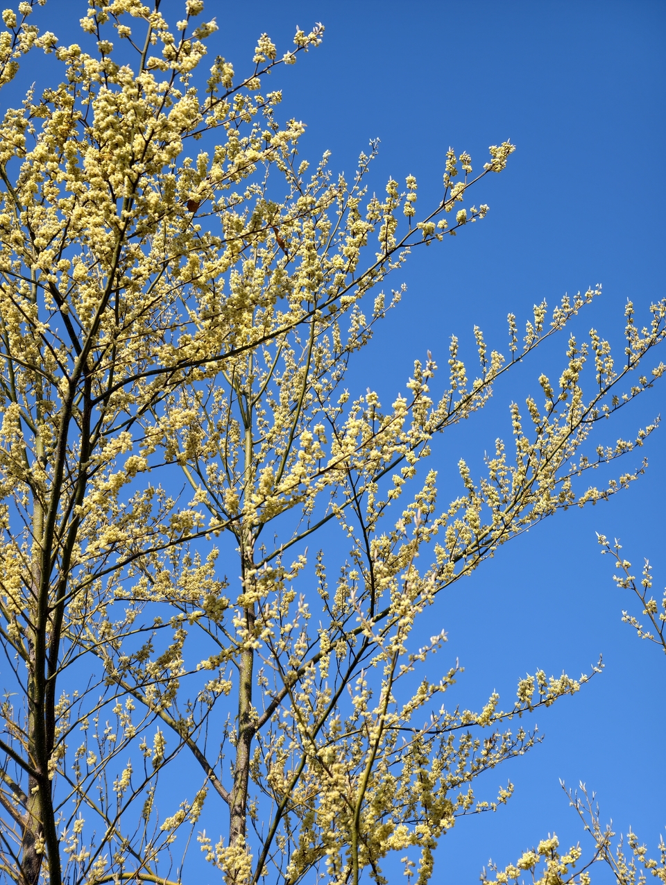 微信图片_20260125173140_1011_5247