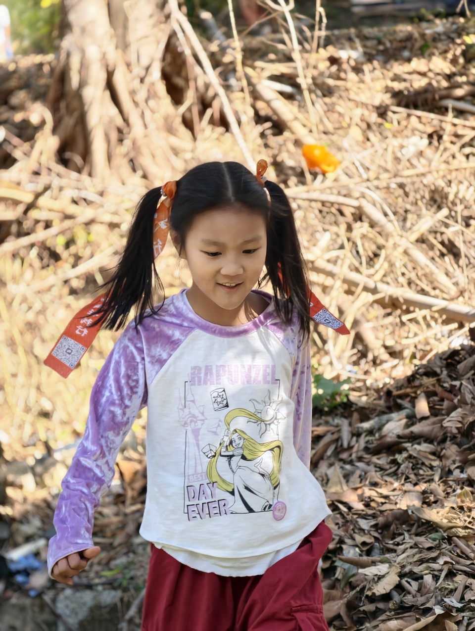 微信图片_20260125173421_1042_5247