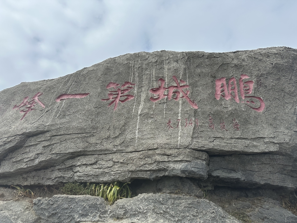 微信图片_20260129135601_252_5329