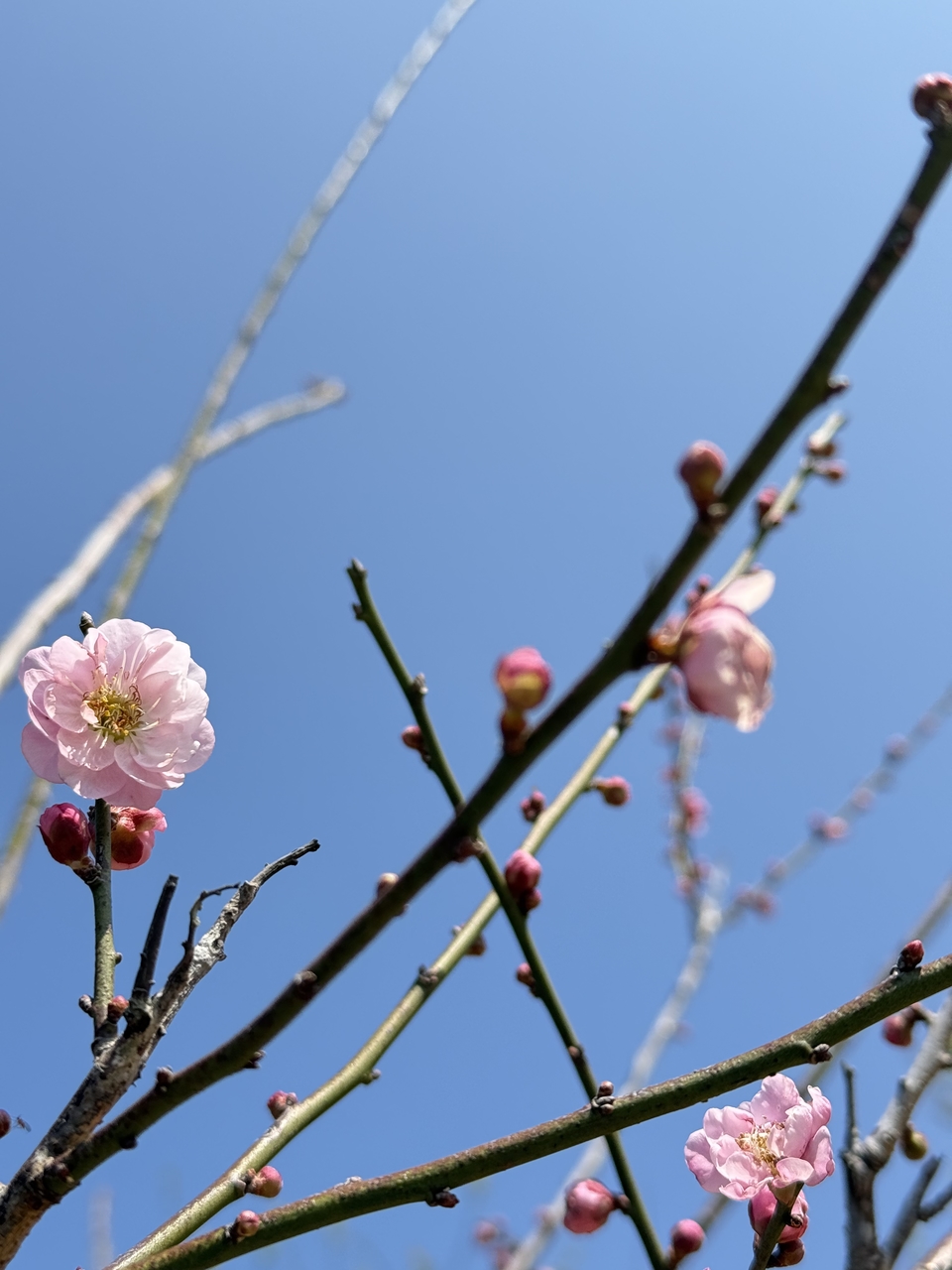 微信图片_20260202123349_262_5330