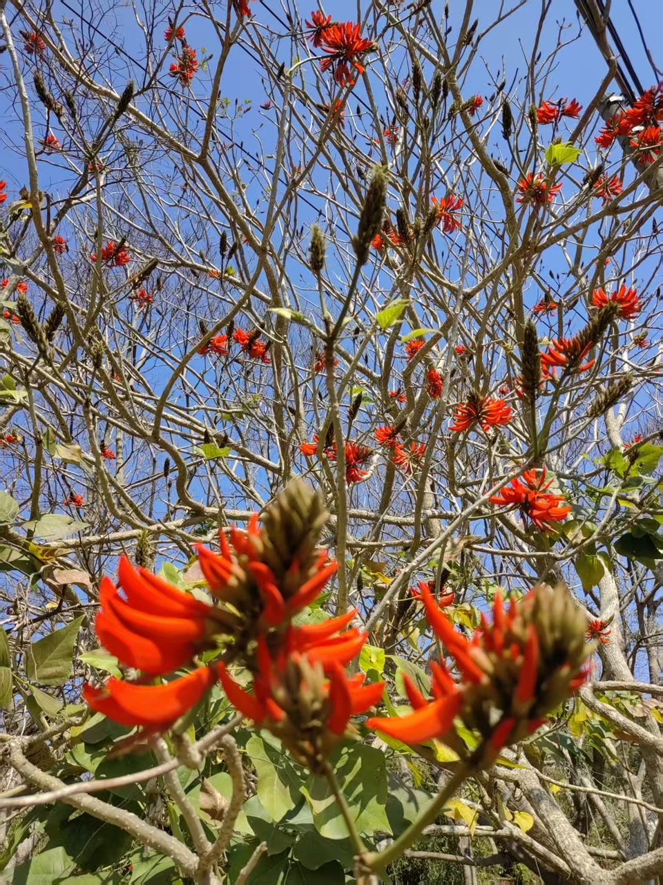 微信图片_20260202123820_263_5330