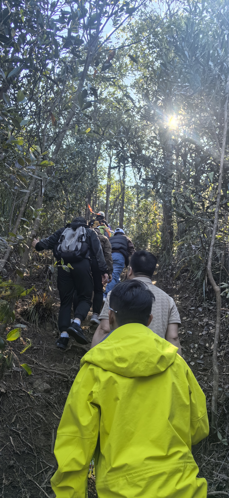 微信图片_20260202144950_288_5330