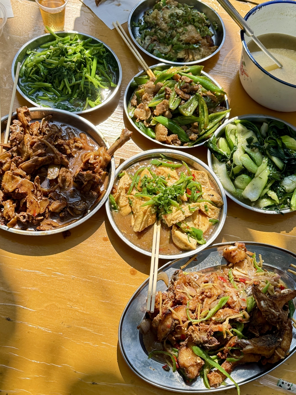 微信图片_20260202151103_294_5330