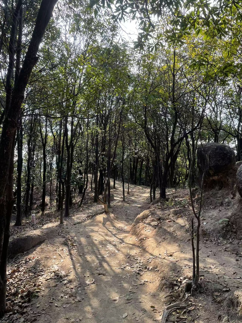 微信图片_20260205161912_318_1676