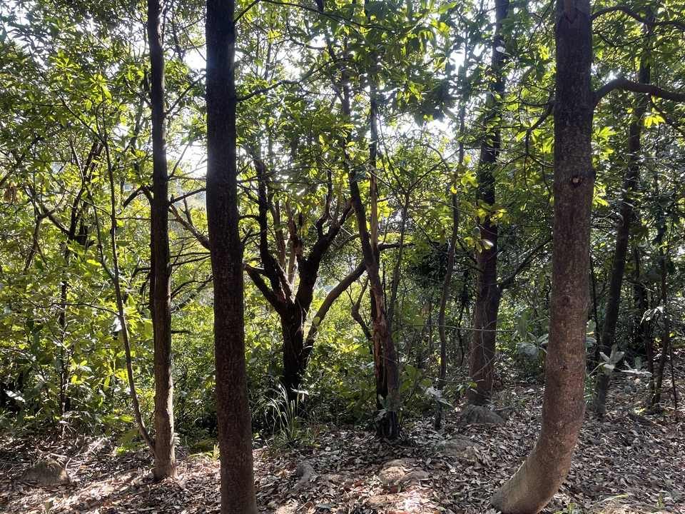 微信图片_20260205162000_319_1676