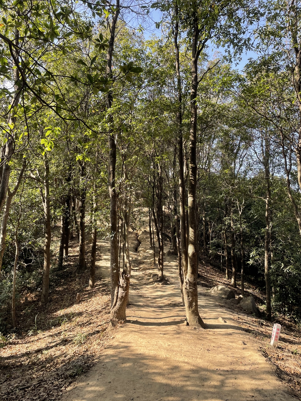 微信图片_20260205162005_320_1676