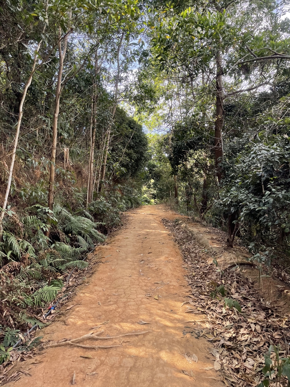 微信图片_20260205162011_322_1676