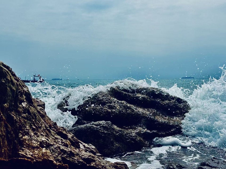 微信图片_20260208133259_33_5453